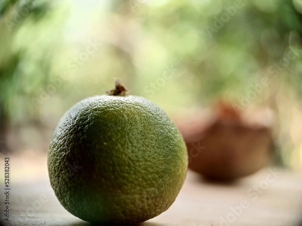 Fototapeta kiwi fruit on a wooden background