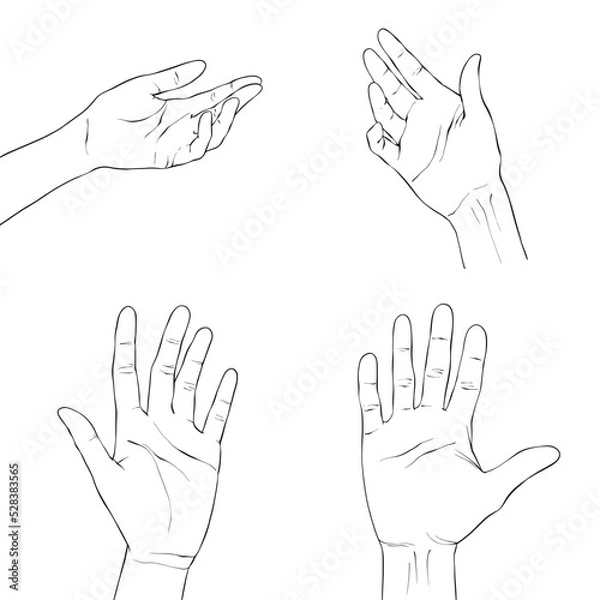Obraz Woman's hands set isolated on white background, vector illustration