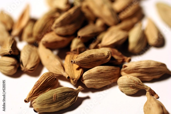 Obraz kardamon