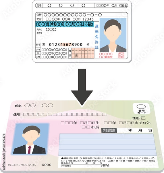 Fototapeta マイナンバーカードの運転免許証化
