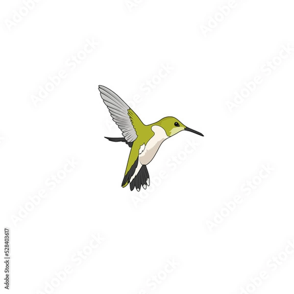 Obraz hummingbird in flight