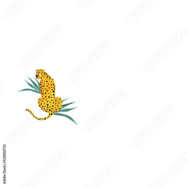 Obraz butterfly on white background