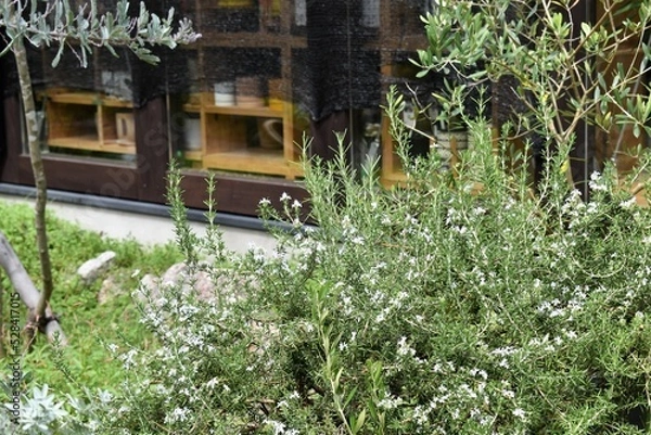 Obraz カフェ、開店、お店、レストラン