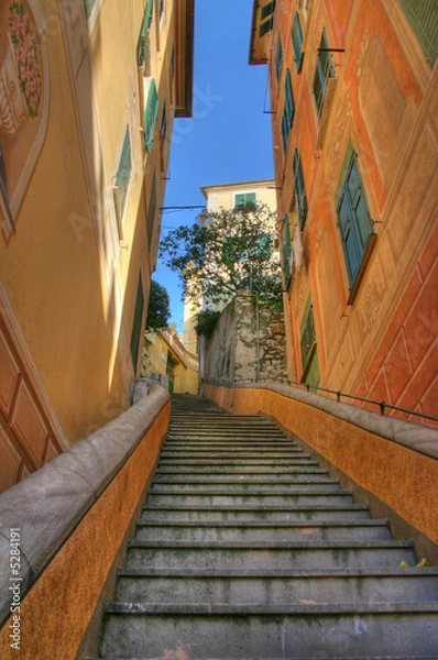 Obraz steep stairs from camogli