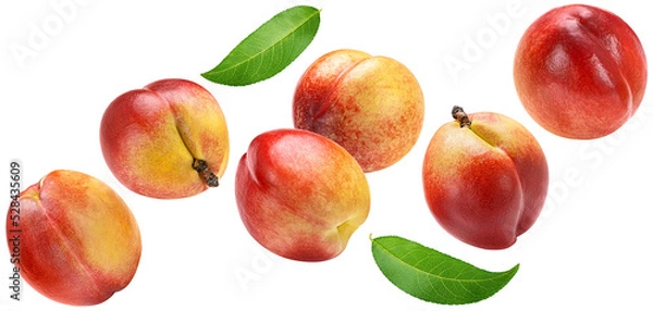 Obraz Falling peaches isolated on white background