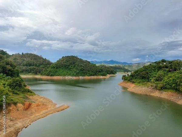 Obraz river and forest