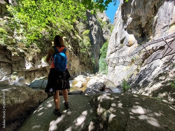 Obraz Admirando el rio