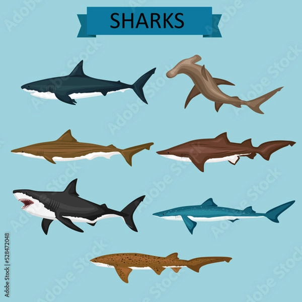 Obraz set of sharks