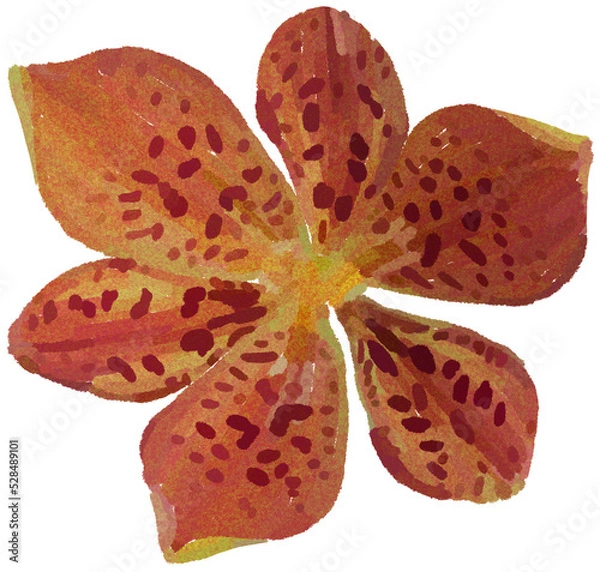 Fototapeta Realistic illustration of flower. Depiction of orange plant with dots. Decoration for cards, invitations. Floral.