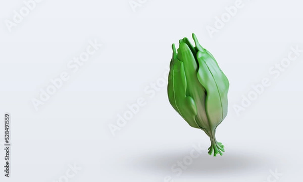 Obraz 3d Vegetable Spinach rendering top view