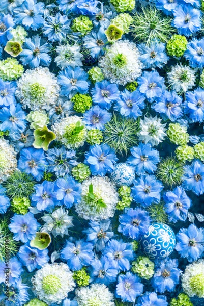 Obraz 水に浮く青い花