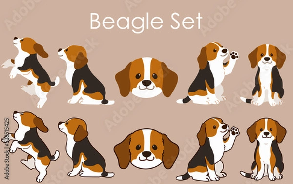 Obraz Simple and adorable Beagle illustrations set