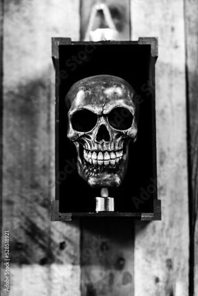 Obraz cabeza calavera