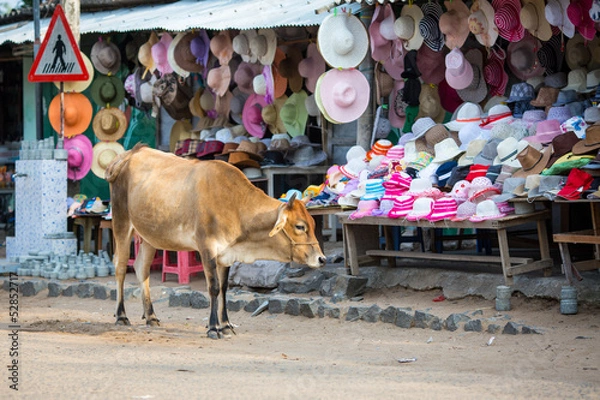 Fototapeta A cow on the background of hats sold