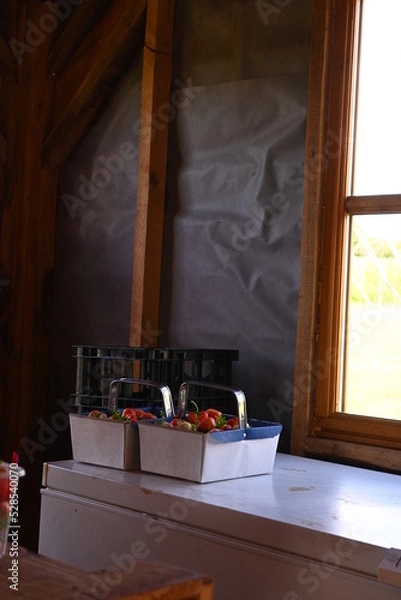 Fototapeta strawberry baskets