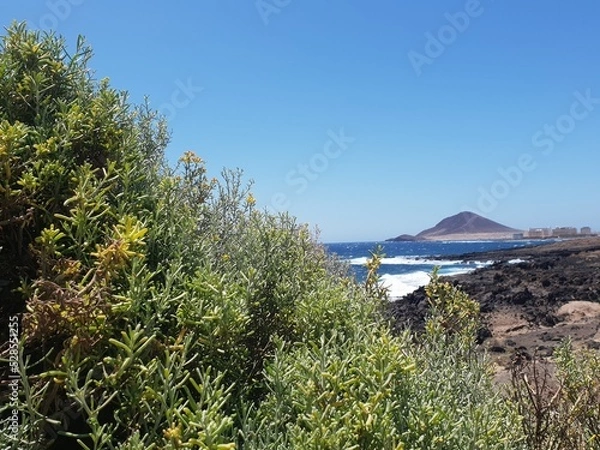 Obraz view from the mountain