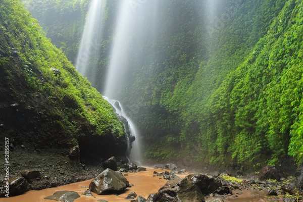 Fototapeta Madakaripura Waterfall – Deep Forest Waterfall in East Java, I
