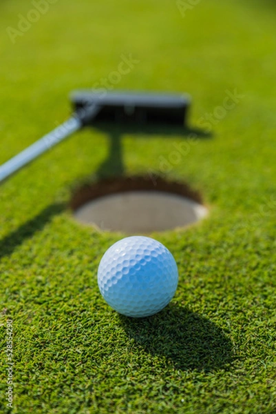 Obraz golf ball and hole