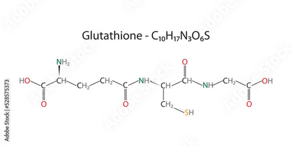 Fototapeta Molecular structure and chemical formula of glutathione	