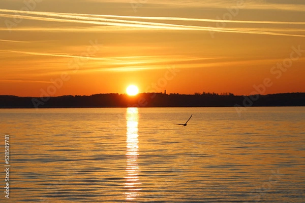 Fototapeta sunset on the lake
