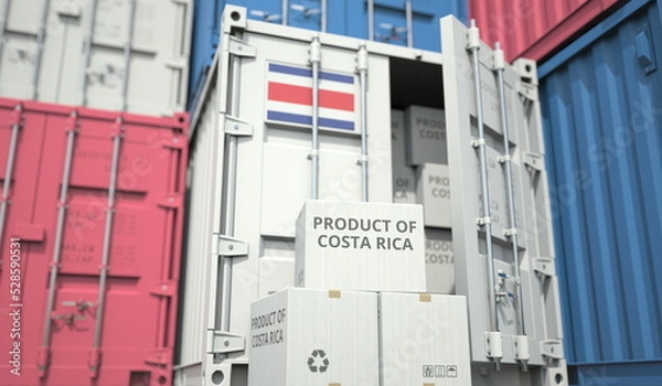 Fototapeta Cartons with goods from Costa Rica and shipping containers in the port terminal or warehouse. National production related conceptual 3D rendering