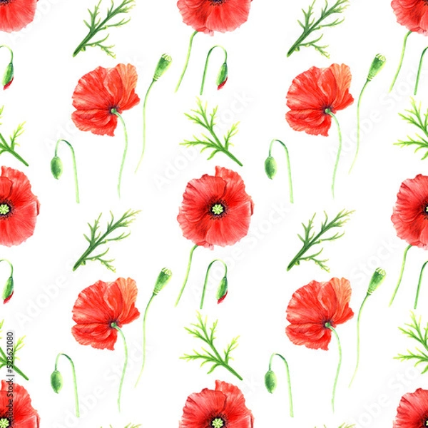 Fototapeta Seamlesss pattern with red wild poppies isolated on white background