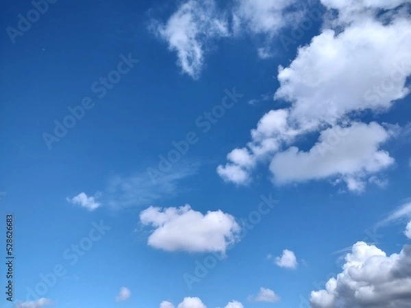 Fototapeta 東京のそら(22.9.6)