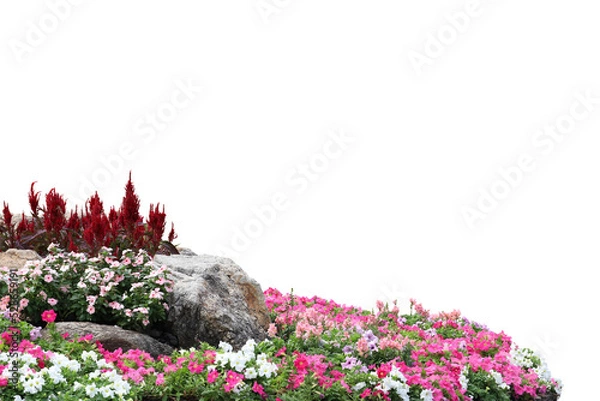 Obraz Realistic flowering plants foreground isolated