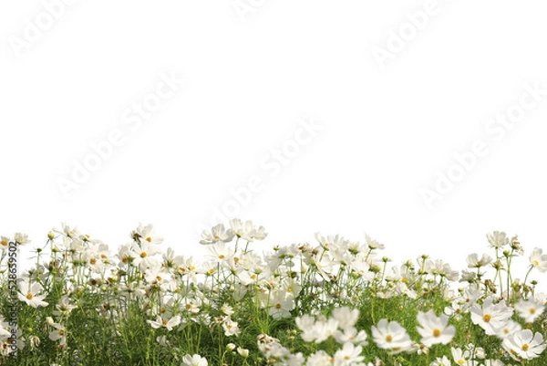 Obraz Realistic flowering plants foreground isolated