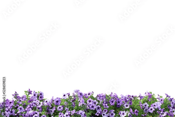 Obraz Realistic flowering plants foreground isolated