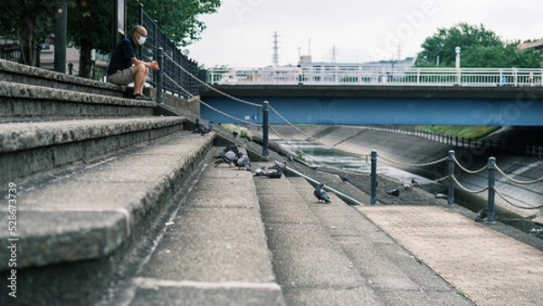 Fototapeta 鳩と戯れる