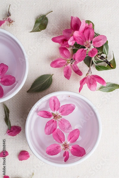 Fototapeta Plum tree flower