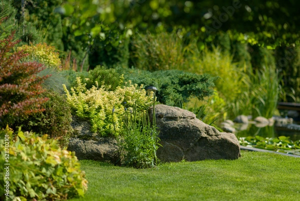 Obraz beautiful garden, various ornamental plants grows in the garden, junipers in the garden