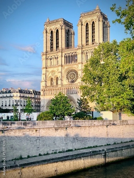 Obraz Notre Dame de Paris