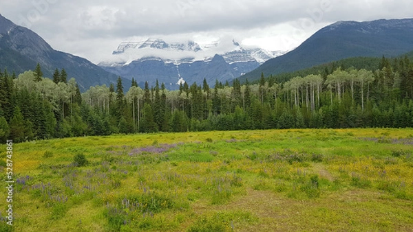 Fototapeta Green meadow in front of snowy mountains
