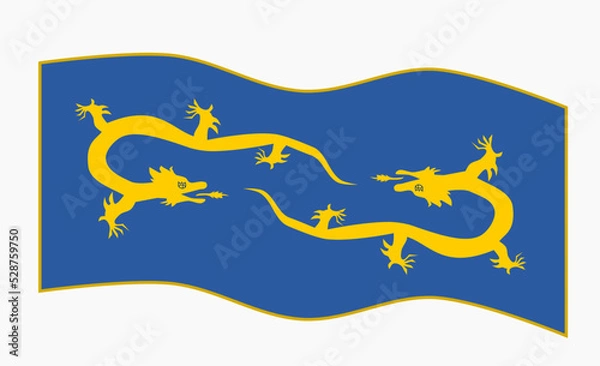 Fototapeta Dragons on Flag