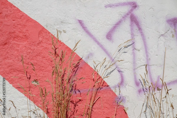 Obraz Against the background of an old wall with fallen plaster, grass and flowers. sunlight