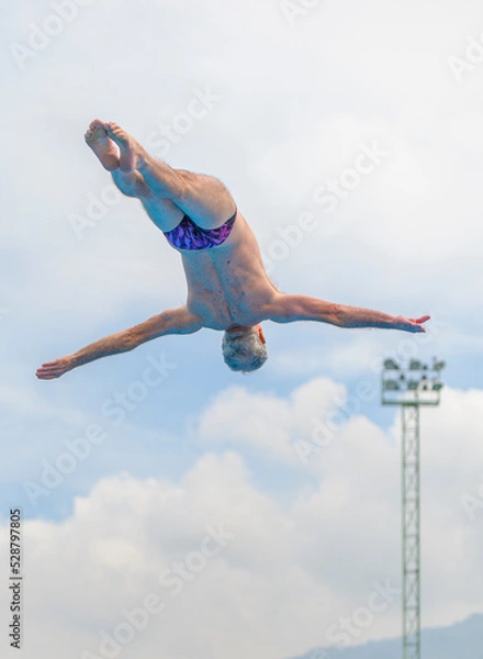 Obraz Salto