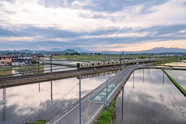 Fototapeta 栃木　宇都宮線と春の水田