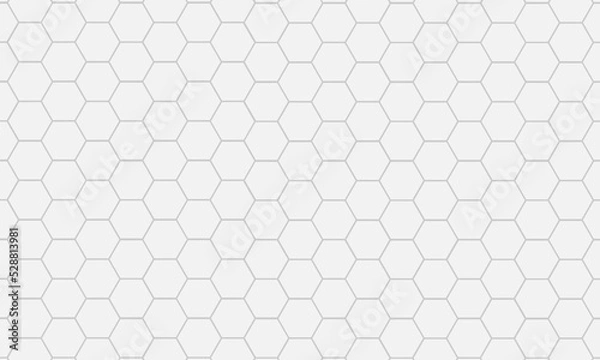 Fototapeta Stylish hexagonal line pattern background