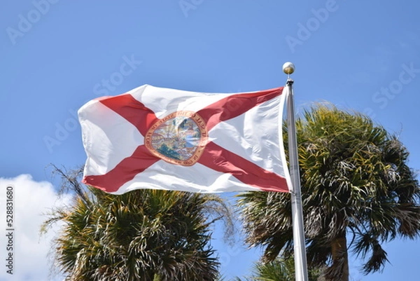 Fototapeta Florida flag with blue sky and palm trees in the background