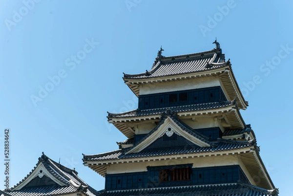 Fototapeta 国宝　松本城