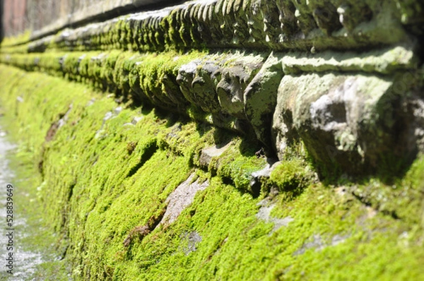 Obraz Ta Prohm at Angkor Wat