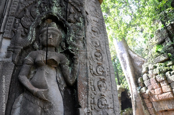 Obraz Ta Prohm at Angkor Wat