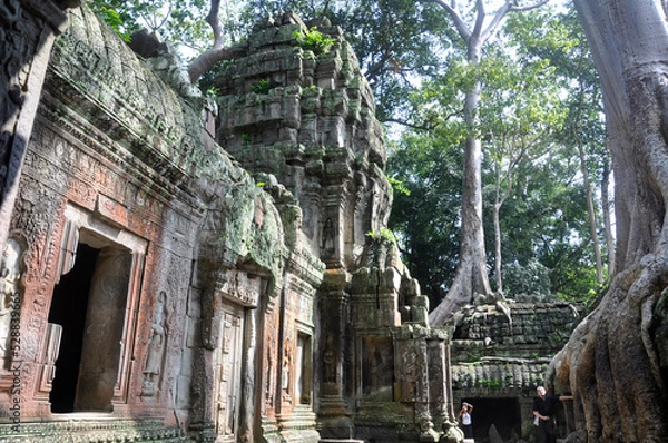 Obraz Ta Prohm at Angkor Wat