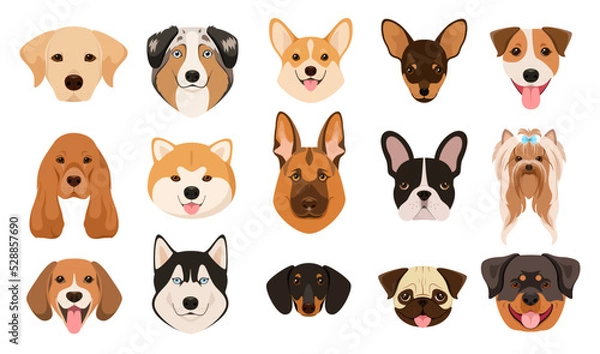Fototapeta A set of dog heads on a white background. Cartoon design.