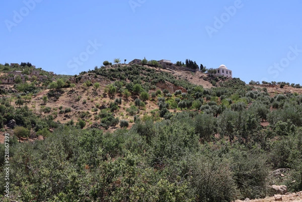 Fototapeta A mosque on the mountain in the middle of the forest