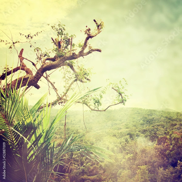 Fototapeta Nature-47