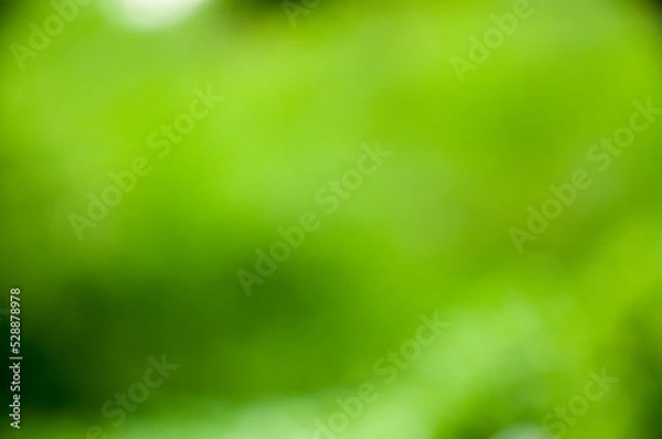 Obraz green apple background