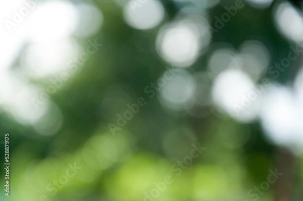 Obraz green bokeh background